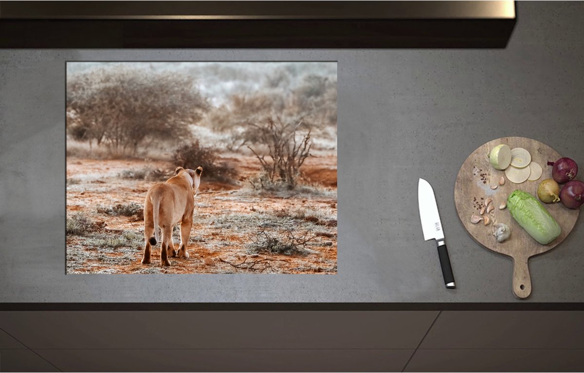 Inductieplaat Beschermer - Achteraanzicht van Sluipende Leeuw in Afrikaans Landschap - 70x55 cm - 2 mm Dik - Inductie Beschermer - Bescherming Inductiekookplaat - Kookplaat Beschermer van Zwart Vinyl