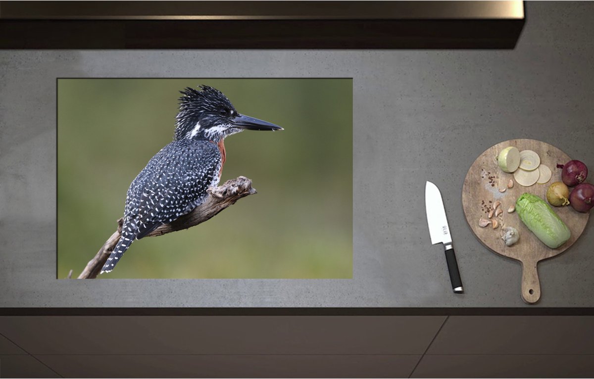 Inductieplaat Beschermer - Afrikaanse Reuzenijsvogel op Tak in de Natuur - 75x51 cm - 2 mm Dik - Inductie Beschermer - Bescherming Inductiekookplaat - Kookplaat Beschermer van Zwart Vinyl