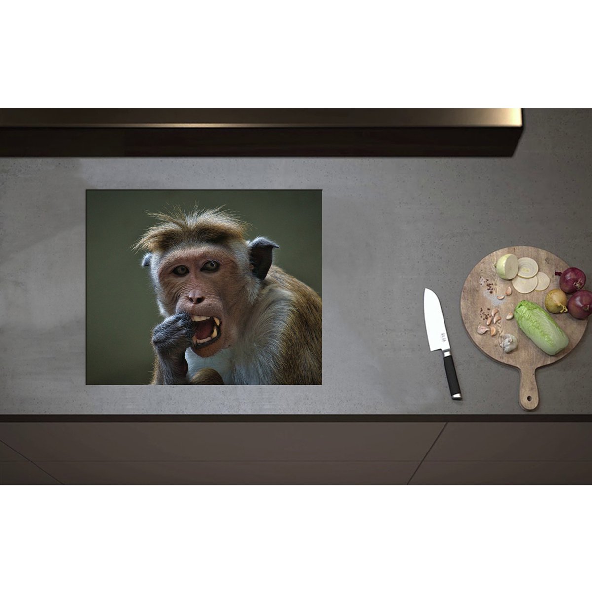 Inductieplaat Beschermer - Aankijkende Resus Aap aan het Eten - 60x50 cm - 2 mm Dik - Inductie Beschermer - Bescherming Inductiekookplaat - Kookplaat Beschermer van Wit Vinyl