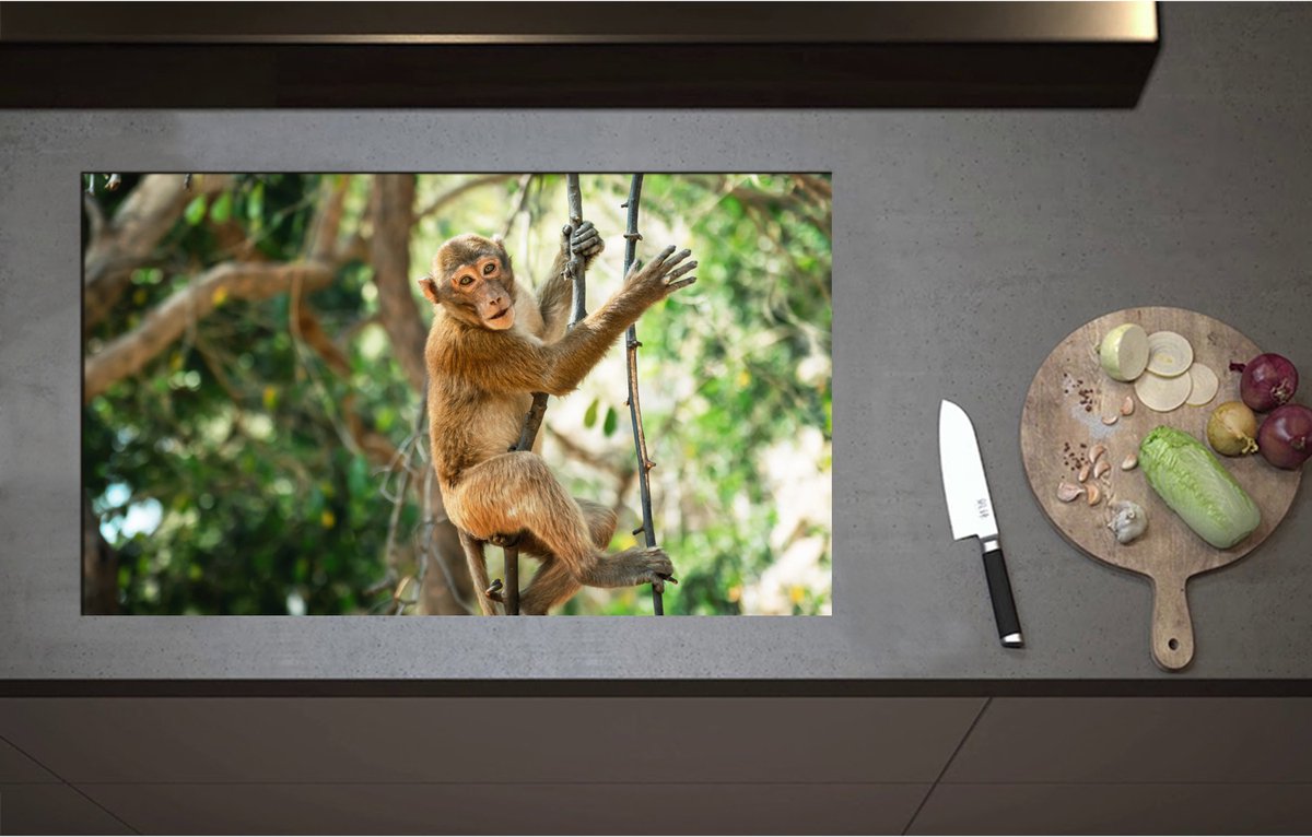 Inductieplaat Beschermer - Aap hangt en zit op takken in de jungle - 85x51 cm - 2 mm Dik - Inductie Beschermer - Bescherming Inductiekookplaat - Kookplaat Beschermer van Wit Vinyl