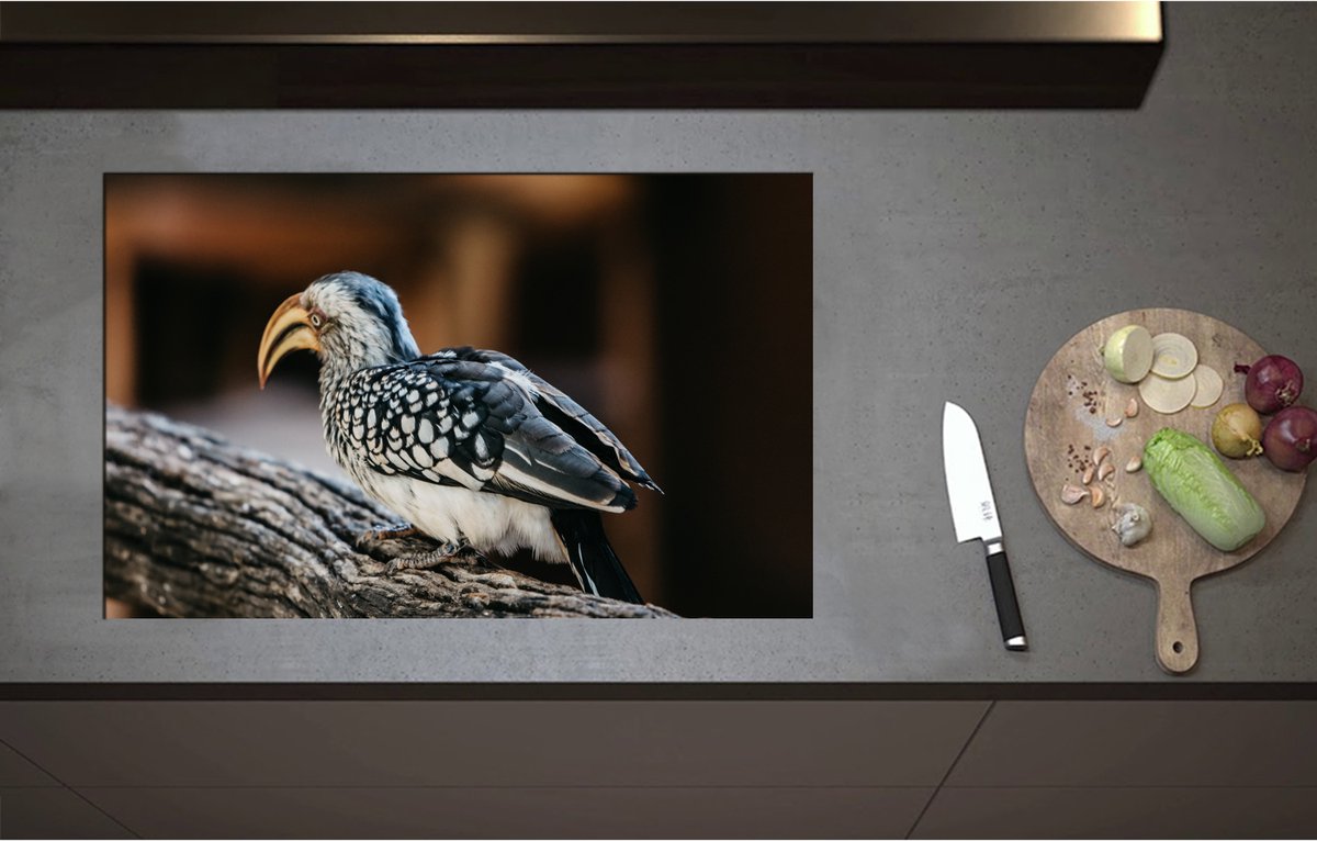 Inductieplaat Beschermer - Achteraanzicht van Zuidelijke geelsnaveltok Vogel Lopend op Boomstronk - 85x51 cm - 2 mm Dik - Inductie Beschermer - Bescherming Inductiekookplaat - Kookplaat Beschermer van Zwart Vinyl