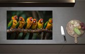Inductieplaat Beschermer - Ara papegaaien zitten op een rijtje langs elkaar op een tak - 80x52 cm - 2 mm Dik - Inductie Beschermer - Bescherming Inductiekookplaat - Kookplaat Beschermer van Zwart Vinyl