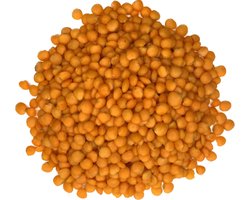 Rode Linzen 500 gram