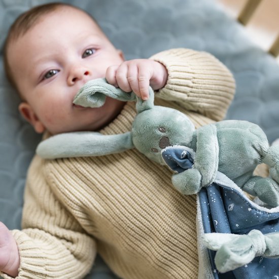 Nattou LAPIDOU Knuffeldoekje Doudou - Konijn - 50 cm - Kopergroen van Nattou — afbeelding 4