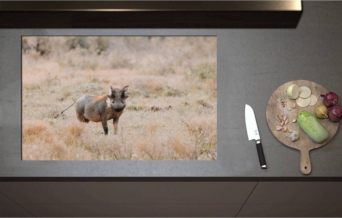 Inductieplaat Beschermer - Aankijkend Zwijn in Droog Afrikaans Landschap - 85x55 cm - 2 mm Dik - Inductie Beschermer - Bescherming Inductiekookplaat - Kookplaat Beschermer van Zwart Vinyl