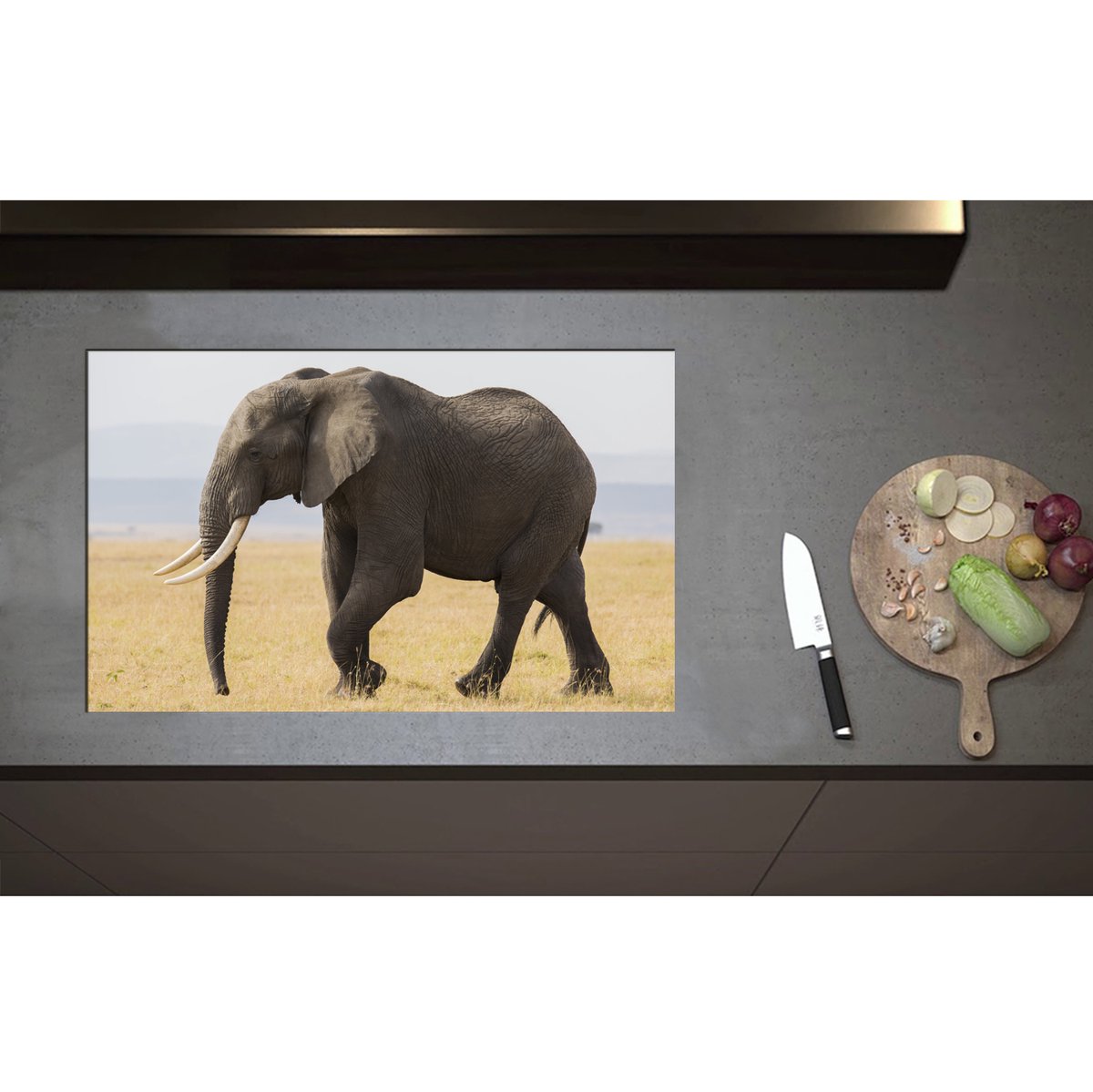 Inductieplaat Beschermer - Afrikaanse Olifant - 80x50 cm - 2 mm Dik - Inductie Beschermer - Bescherming Inductiekookplaat - Kookplaat Beschermer van Wit Vinyl