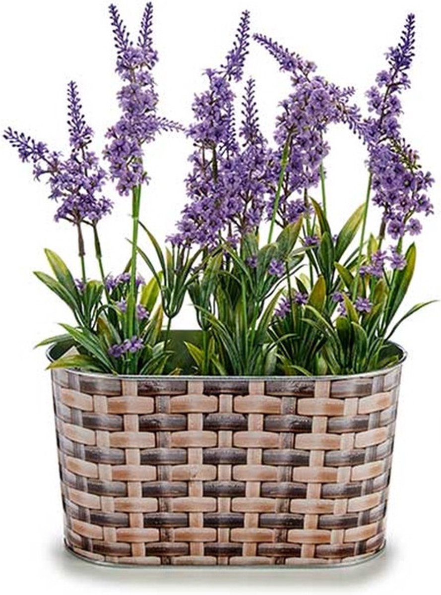 Arte r Plantenpot/bloempot teil- zink - bruin - L23,5 x D2,7 x H15 cm