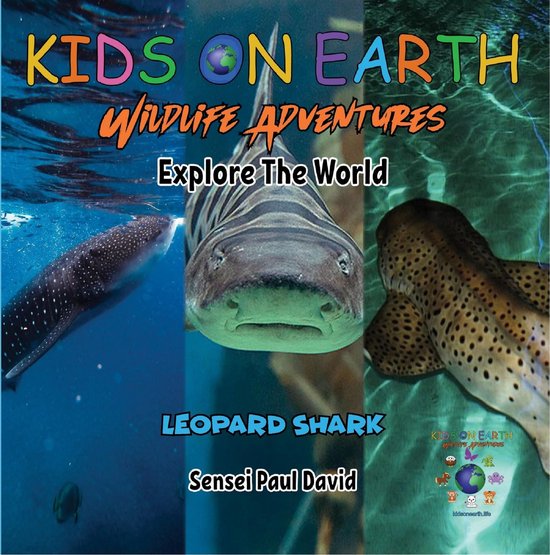 KIDS ON EARTH Wildlife Adventures - KIDS ON EARTH - Leopard Shark - Maldives