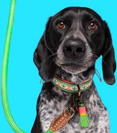 DWAM Dog with a Mission Halsband hond – Hondenhalsband – Groen – S – Leer – Halsomvang tussen 27-33 x 2 cm– Tropical Summer