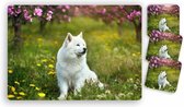Placemats - 6 stuks 42 x 30 cm bedrukt met Witte hond op een gebied van bloemen en 10 bijpassende onderzetters 10 x 10 cm