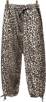 Dilena fashion Broek katoen cotton luipaard panter print jogging style