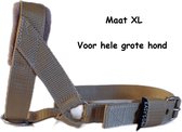 Gentle leader - Beige - Maat - XL - Gevoerd - Antitrek hoofdhalster hond - Halster hond - Anti trek hond - Training band