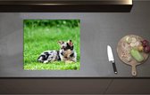 Inductieplaat Beschermer - Australische Herder Puppy Liggend in het Groene Grasveld - 57x51 cm - 2 mm Dik - Inductie Beschermer - Bescherming Inductiekookplaat - Kookplaat Beschermer van Zwart Vinyl