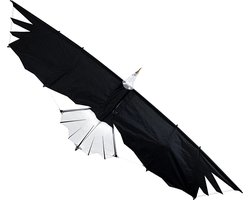Revolution Eagle Stuntvlieger