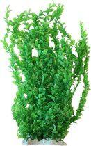 Plante d'aquarium Nobleza - Plante artificielle - plant en plastique - Décoration d'aquarium - Décoration d'aquarium - Feuilles rondes vertes