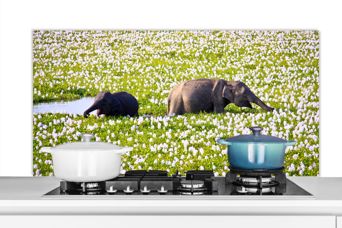 Spatscherm keuken 120x60 cm - Kookplaat achterwand Olifant - Water - Planten - Groen - Natuur - Dieren - Muurbeschermer - Spatwand fornuis - Hoogwaardig aluminium