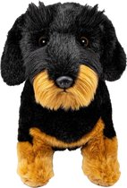 Carl Dick Knuffeldier Teckel hond - zachte pluche stof - premium kwaliteit knuffels - 30 cm - honden