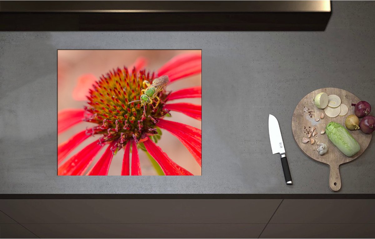 Inductieplaat Beschermer - Bij op Zoek naar Nectar in Rode Bloem - 58x51 cm - 2 mm Dik - Inductie Beschermer - Bescherming Inductiekookplaat - Kookplaat Beschermer van Wit Vinyl