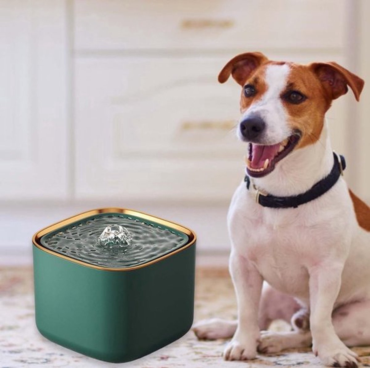 Premium Kattenfontein - drinkfontein - met filters