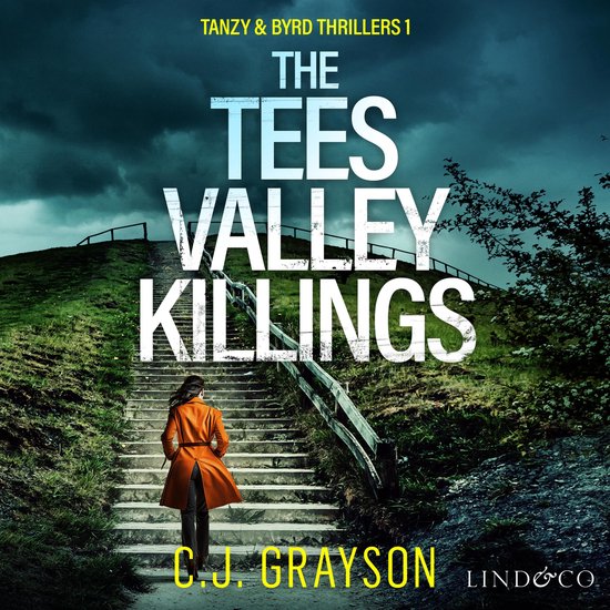 The Tees Valley Killings - cover