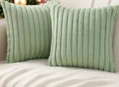 Ribfluwelen Kussenhoezen Dubbelzijdig - Kussenhoes Ultra Pluche - Kussensloop - Kussenovertrek - Kussenhoes 45x45cm - Met Rits - Grove Ribstof Dubbelzijdig - Set Van 2 - Plush Double Sided Cushion Cover - Corduroy Double Sided - Groen - Green -