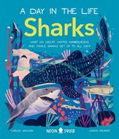 A Day in the Life- Sharks (A Day in the Life)