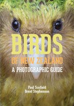 Birds Of New Zealand Photographic Guide