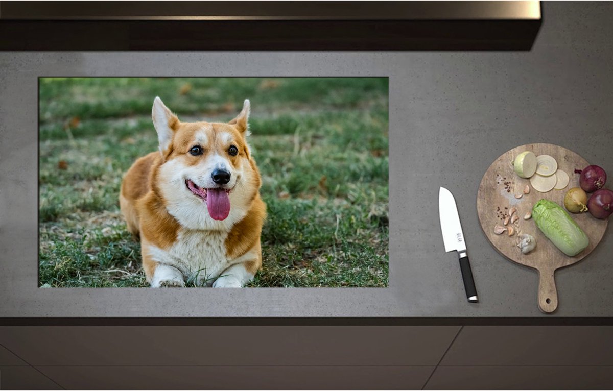 Inductieplaat Beschermer - Blije Corgi Hond met Uitstekende Tong in het Grasveld - 85x52 cm - 2 mm Dik - Inductie Beschermer - Bescherming Inductiekookplaat - Kookplaat Beschermer van Wit Vinyl