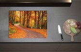 Inductieplaat Beschermer - Bospad door Herfstbos vol met Herfstkleuren - 71x51 cm - 2 mm Dik - Inductie Beschermer - Bescherming Inductiekookplaat - Kookplaat Beschermer van Wit Vinyl