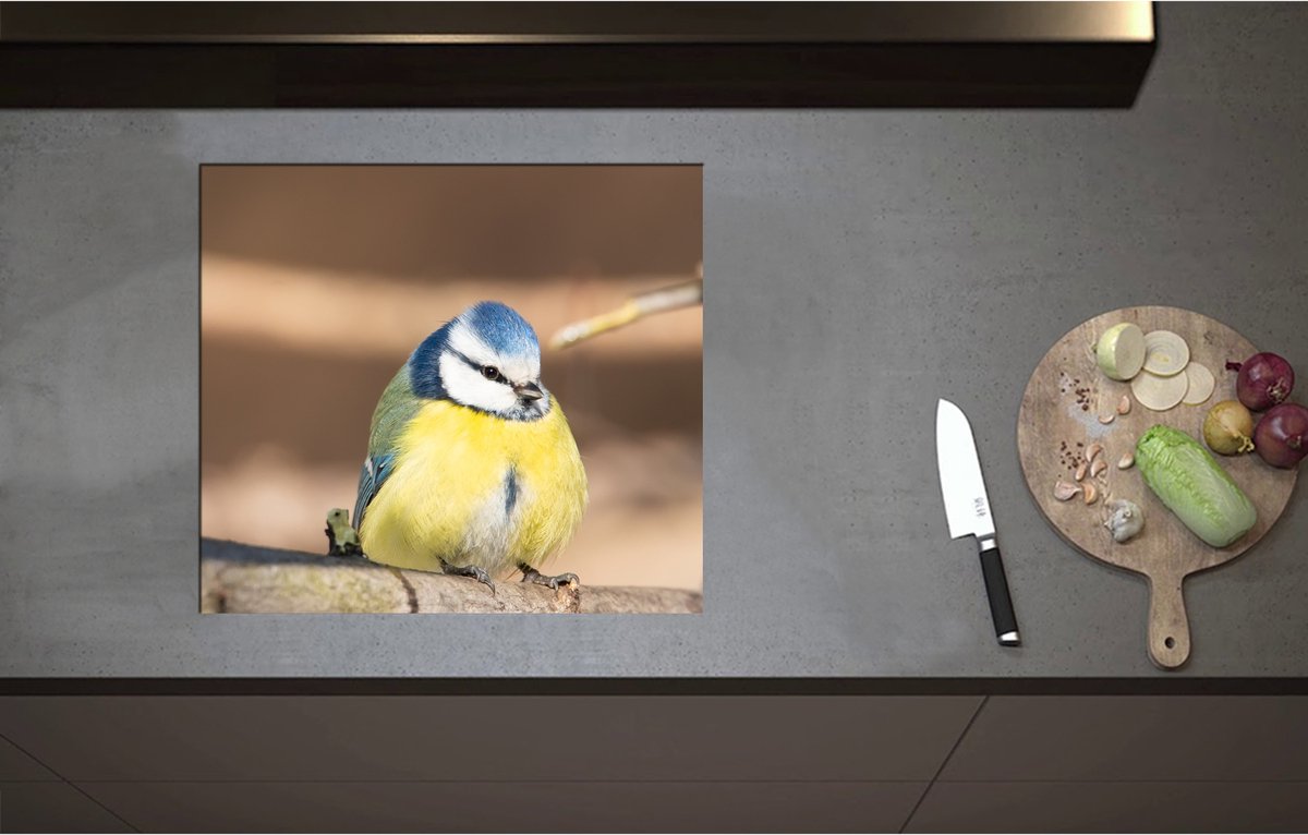 Inductieplaat Beschermer - Bol Pimpelmeesje Zittend op Tak - 58x52 cm - 2 mm Dik - Inductie Beschermer - Bescherming Inductiekookplaat - Kookplaat Beschermer van Zwart Vinyl