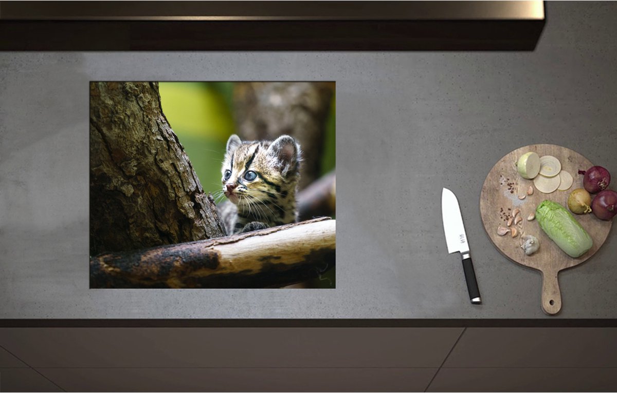 Inductieplaat Beschermer - Boomkat Kitten in de Bomen - 60x51 cm - 2 mm Dik - Inductie Beschermer - Bescherming Inductiekookplaat - Kookplaat Beschermer van Zwart Vinyl