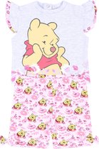 Grijze en roze Winnie de Poeh-set DISNEY