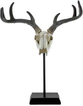 Lifestyle Home Collection - Skull Staand Decoratie Set van 2 - Wit