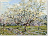 Tuinschilderij Boomgaard in bloei - Vincent van Gogh - 80x60 cm - Tuinposter - Tuindoek - Buitenposter