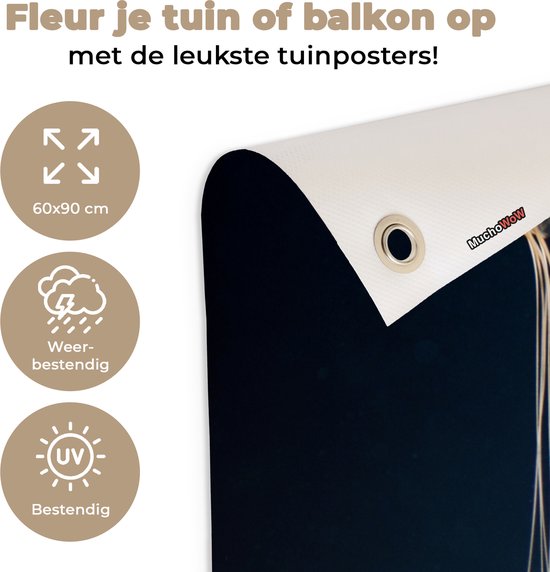 Méduse sur fond sombre affiche de jardin toile en vrac 60x90 cm - Toile de jardin / Toile d'extérieur / Peintures pour l'extérieur (décoration de jardin)