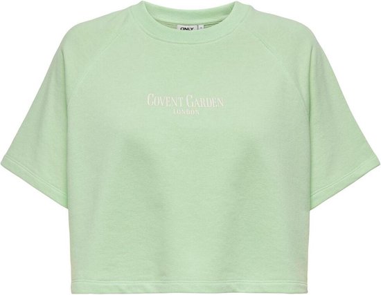 Only Sweater Onlarea S/s O-neck Print Top Box Ub 15320803 Patine Vert/Londres Taille Femme - M