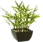 Atmosphera Kunstplant - Bamboe met Pot - 35x33x33cm - Groen/Zwart