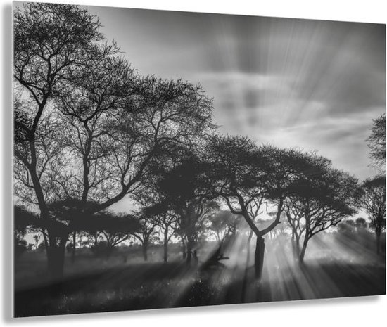Glasschilderij savanne zonsondergang 150x100 CM - Inclusief montage Materiaal - Plexiglas glasschilderij