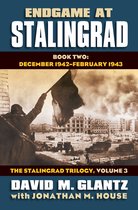 Endgame At Stalingrad Vol 3 Book 2