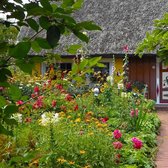 MRS Seeds & Mixtures Mélange de fleurs English Cottage Garden – Hauteur de croissance : 15-150 cm – 40 variétés de fleurs