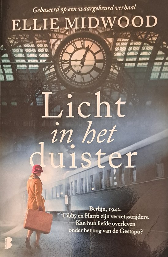Omslag van Licht in het duister door Ellie Midwood