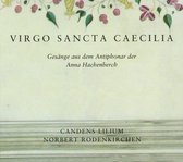 Candens Lilium, Norbert Rodenkirchen - Virgo Sancta Caecilia (CD)