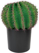 Kunstplant cactus in bloempot groen 35 cm