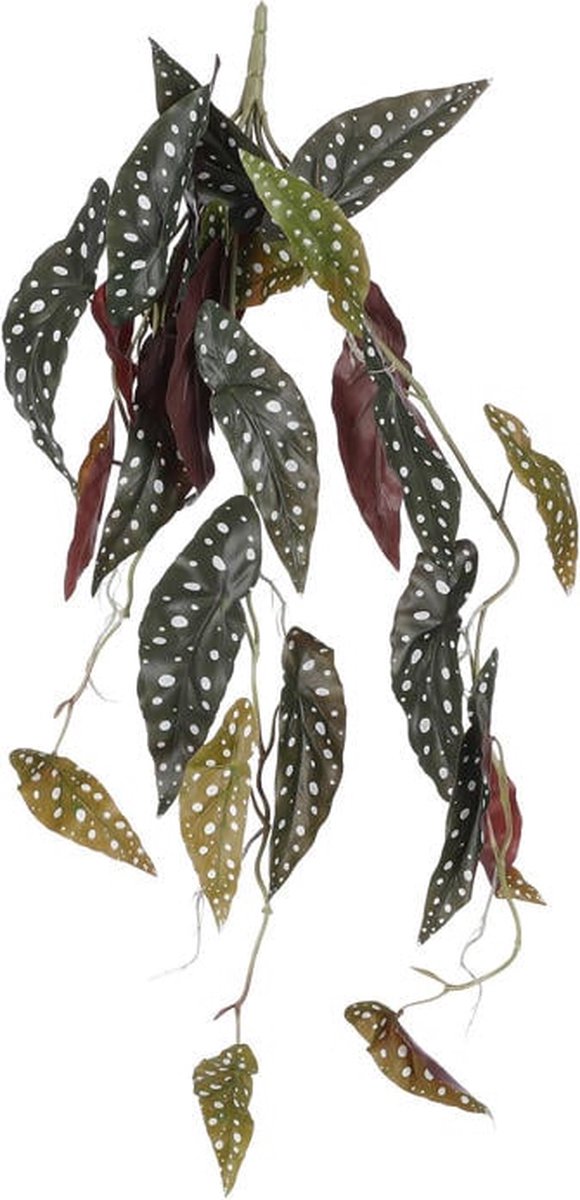 Mica Decorations Kunstplant Begonia Maculata Hangplant Donker Groen - Steker L80 cm - Mica Decorations mix