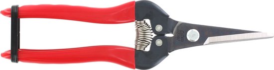 ARS300LR - Fruitschaar 19cm, recht, rood van ARS — afbeelding 5