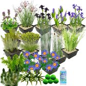 vdvelde.com - Waterplanten Pakket - L - Blauw - Voor 2.000 - 3.000 L - 93 planten - Plaatsing: -1 tot -100 cm