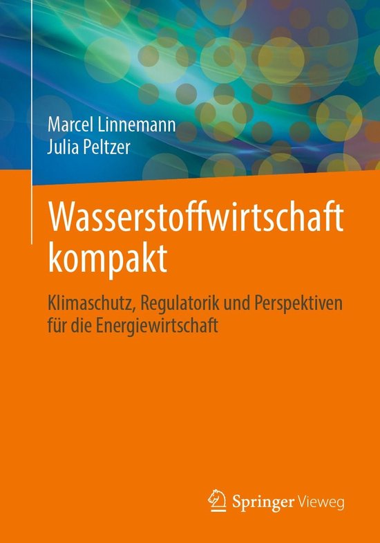 Wasserstoffwirtschaft kompakt - cover