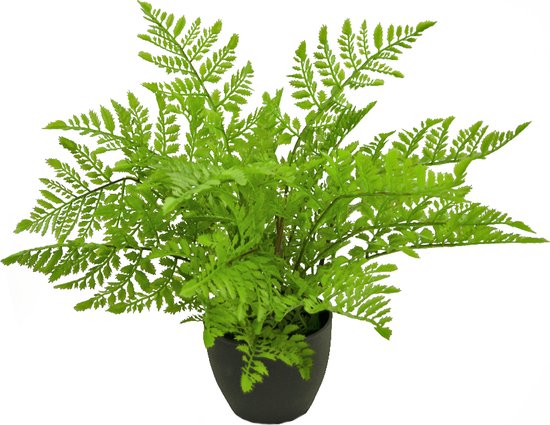 Greenmoods Kunstplanten - Kunstplant - Varen - Zijde - 35 cm - In zwarte sierpot