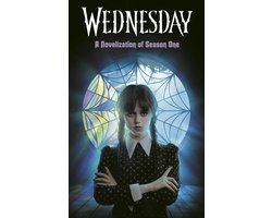 Wednesday: A Novelization of Season One
