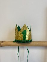 verjaardagskroon, haarkroon, jongen, kroon, eerste verjaardag,cakesmash kroon, haarband, 1 jaar, verjaardag, groen, themafeest